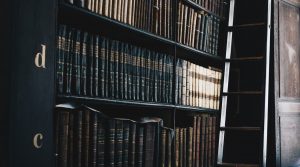 An Insight Into Our Law Services And How To Select The Right One For Your Needs